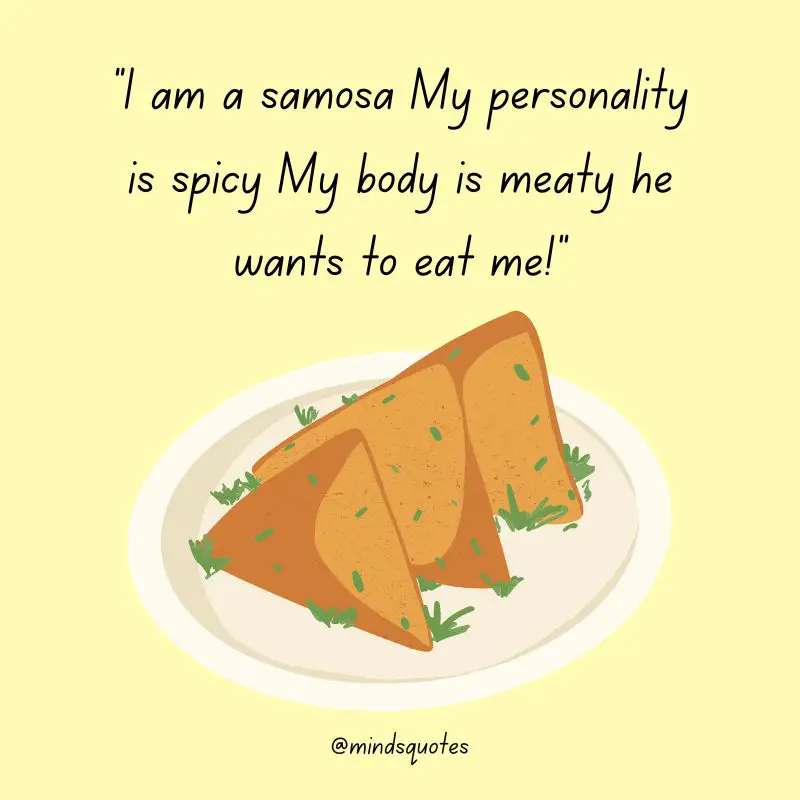 29+ Famous World Samosa Day Quotes, Saying & Captions 2 World Samosa Day Quotes
