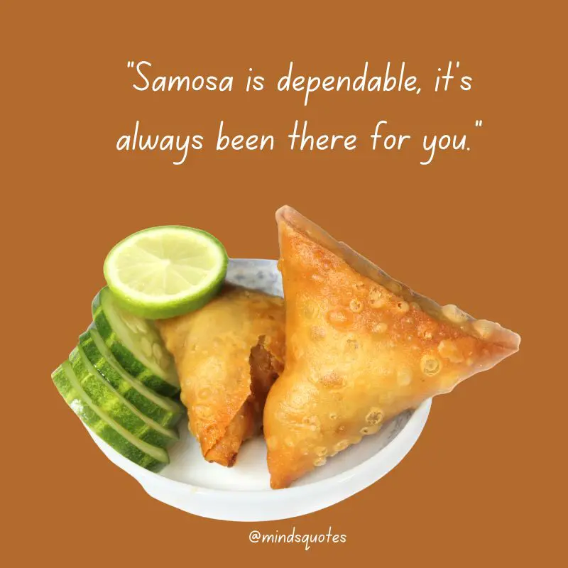 29+ Famous World Samosa Day Quotes, Saying & Captions 5 World Samosa Day Saying English