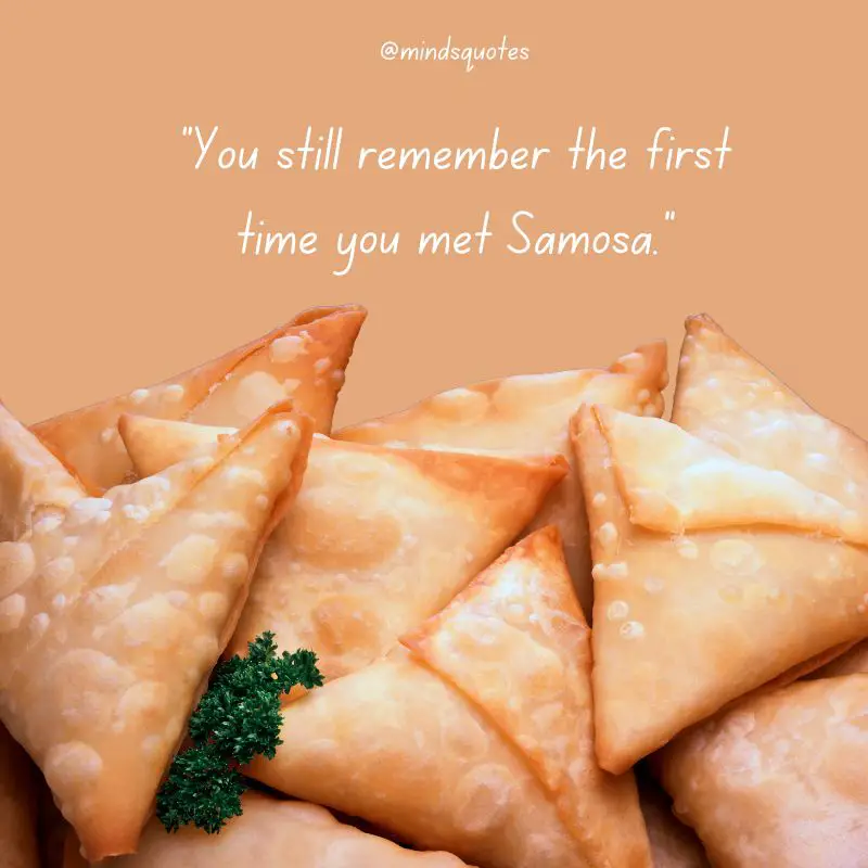 29+ Famous World Samosa Day Quotes, Saying & Captions 4 World Samosa Day Saying