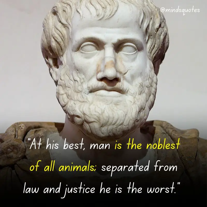 80 Famous Aristotle Quotes That Will Change Your Perspective 14 Aristotle quotes