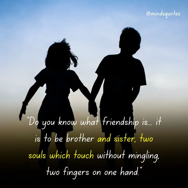 120 BEST Brother and Sister Quotes to Bond You Closer Together 19 best friend touching sister quotes
