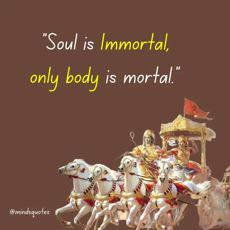 61 BEST Bhagavad Gita Quotes To Illuminate Your Life 10 bhagavad gita quotes on life