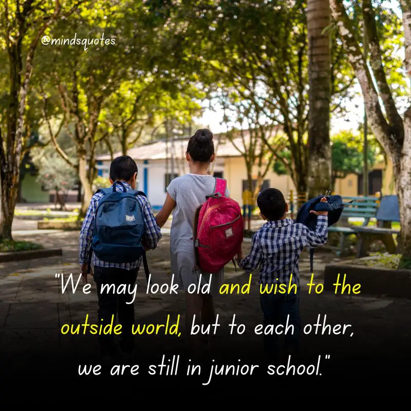 120 BEST Brother and Sister Quotes to Bond You Closer Together 36 brother and sister quotes funny