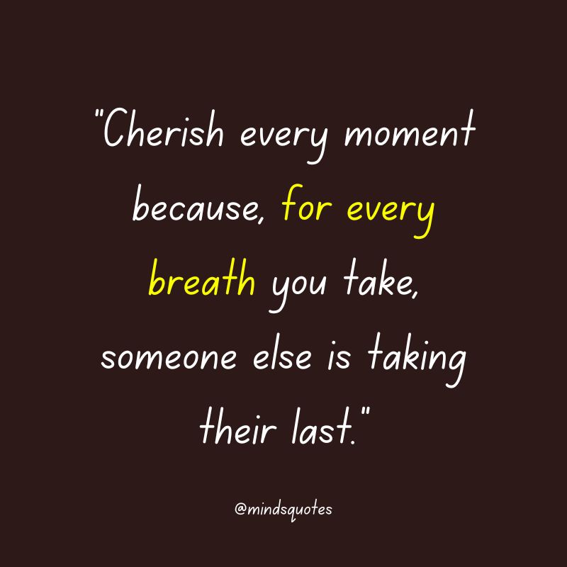 135 BEST Memories Quotes To Help You Cherish The Past 10 cherishing memories quotes