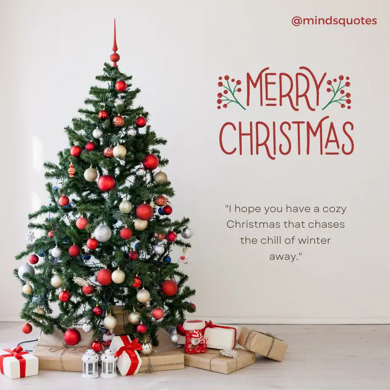50 Best Christmas Wishes Quotes that Will Make You Smile 7 christmas wishes quotes