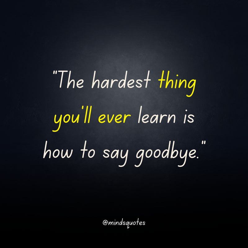 117+ BEST Farewell Quotes To Live By Before You Say Goodbye 30 emotional farewell quotes