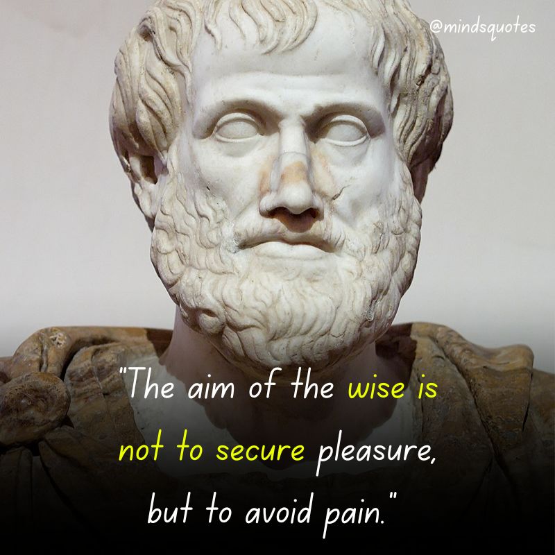 excellence Aristotle quotes