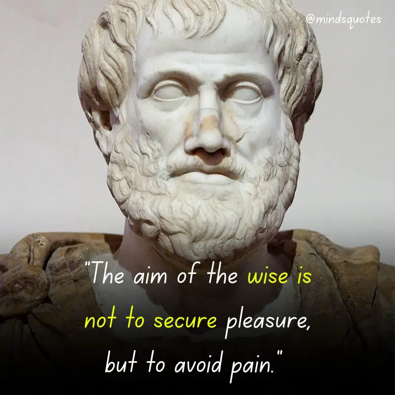 80 Famous Aristotle Quotes That Will Change Your Perspective 8 excellence Aristotle quotes