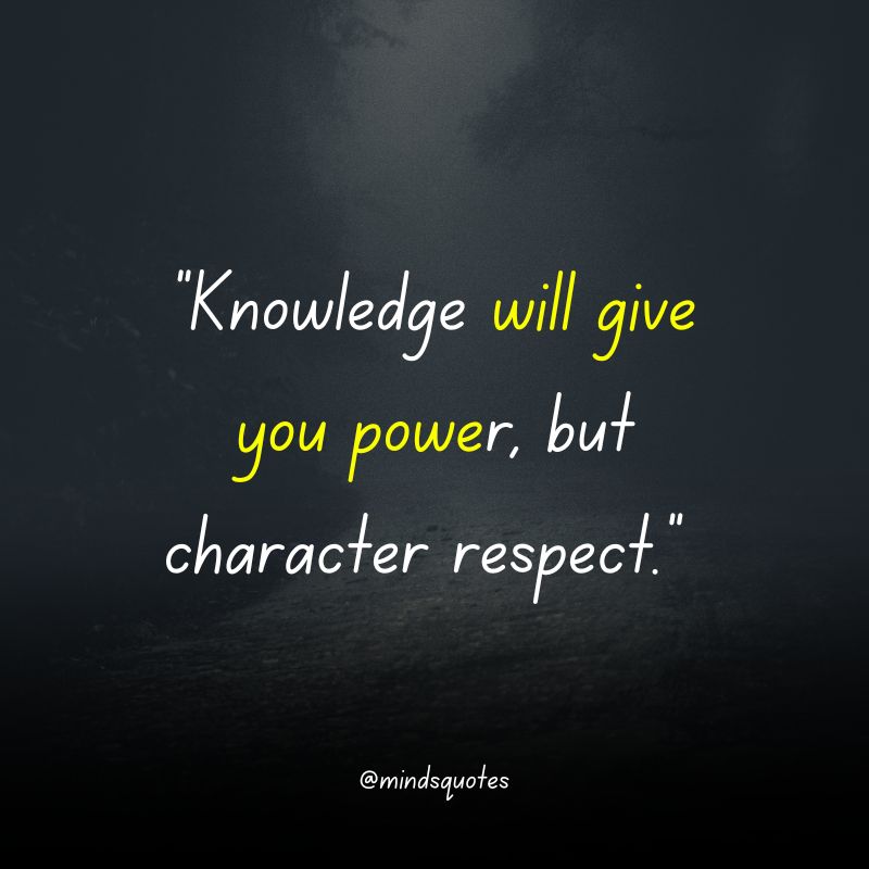 112+ BEST Respect Quotes That Everyone Needs To Know 5 famous respect quotes