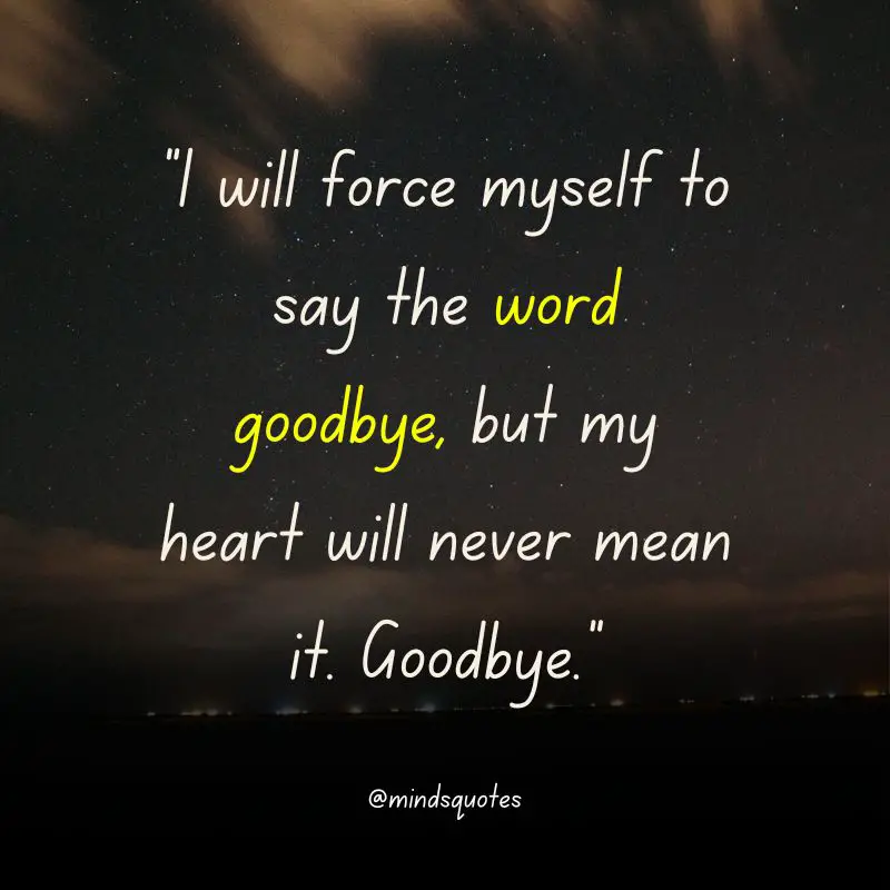 117+ BEST Farewell Quotes To Live By Before You Say Goodbye 23 farewell Messages for friends
