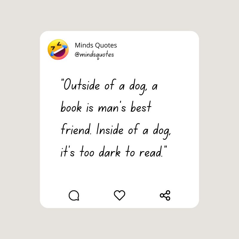 91 BEST Funny Quotes That Will Make You Laugh Out Loud 8 funny quotes of the day