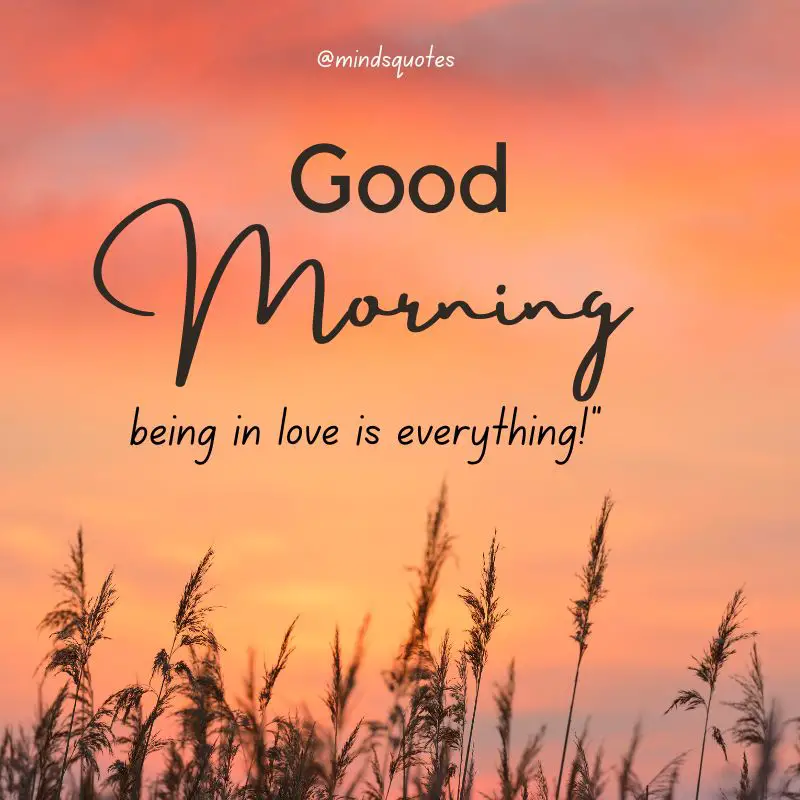 51 Beautiful Good Morning Love Quotes To Start Your Day 11 good morning love quotes for wife