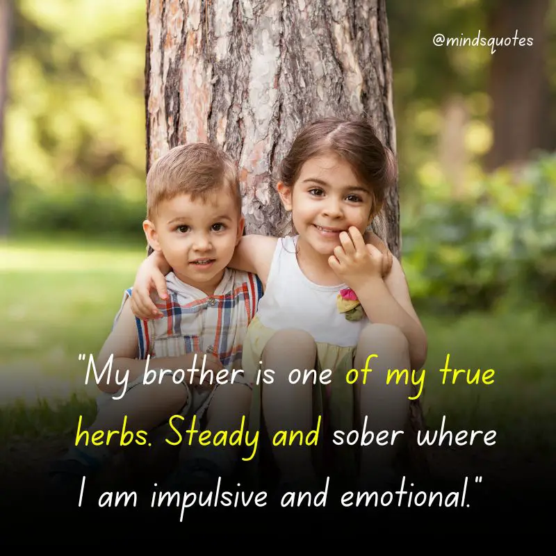 120 BEST Brother and Sister Quotes to Bond You Closer Together 5 heart touching emotional brother and sister quotes