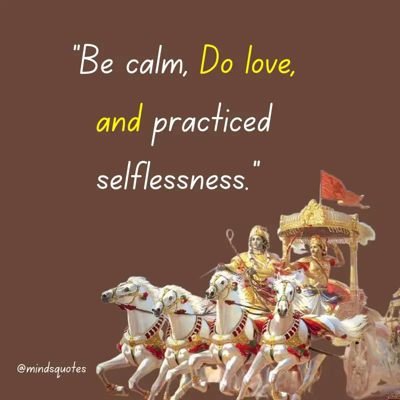 61 BEST Bhagavad Gita Quotes To Illuminate Your Life 12 inspiring bhagavad gita quotes
