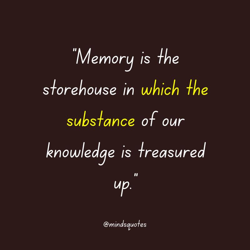 135 BEST Memories Quotes To Help You Cherish The Past 16 life memories quotes