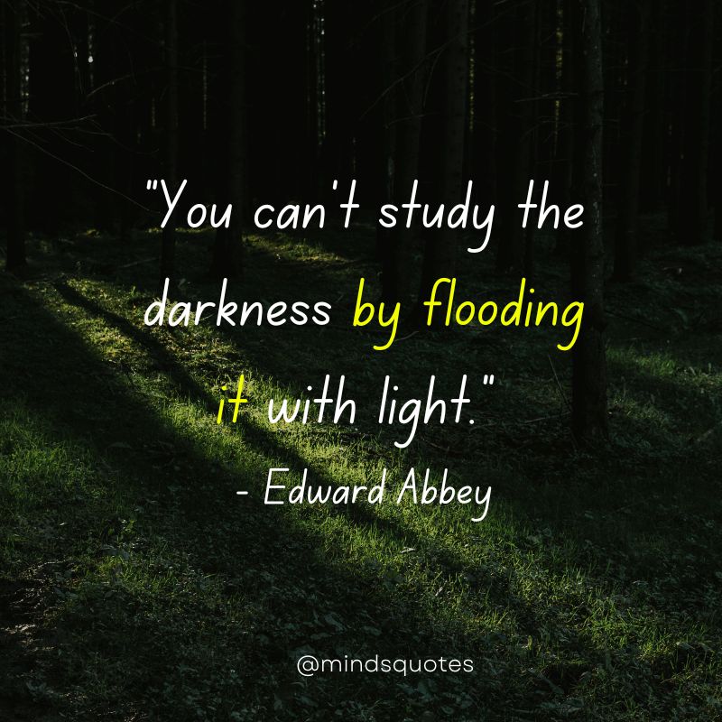 light and darkness quotes