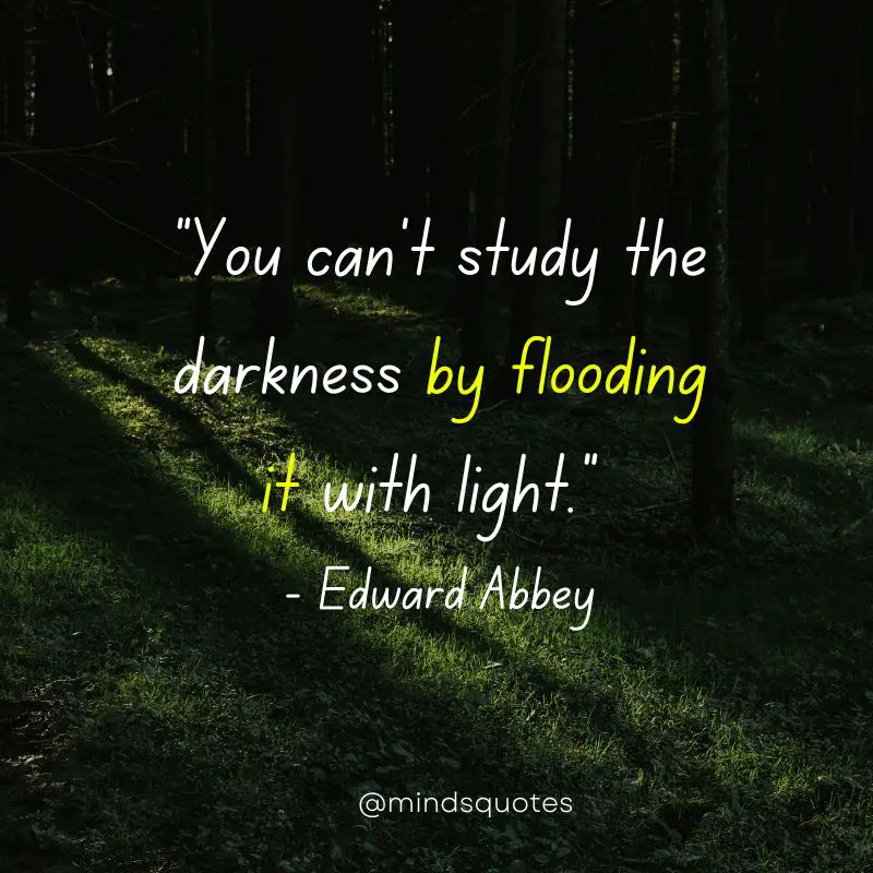 The Top 66 Darkness Quotes That Will Leave You Inspired 12 light and darkness quotes