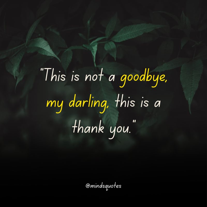 117+ BEST Farewell Quotes To Live By Before You Say Goodbye 3 meaningful farewell quotes