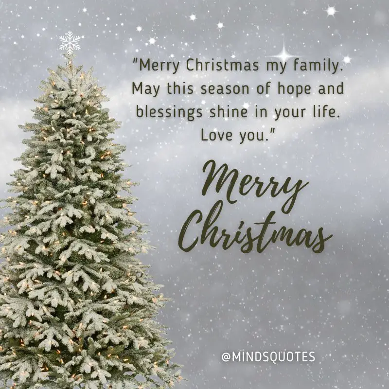 75 Best Merry Christmas Wishes For Your Family And Friends 19 merry christmas wishes for family and friends
