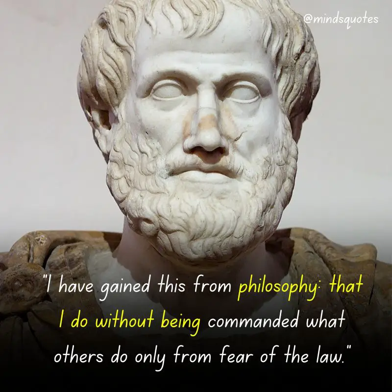 80 Famous Aristotle Quotes That Will Change Your Perspective 15 philosopher aristotle quotes