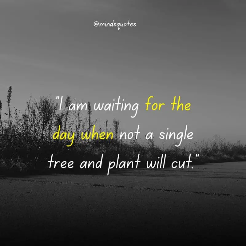 105 BEST Waiting Quotes That Will Make You Think 28 relationship tired of waiting quotes
