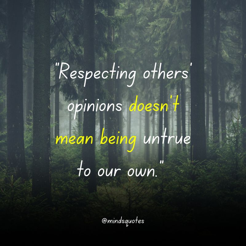 respect quotes images