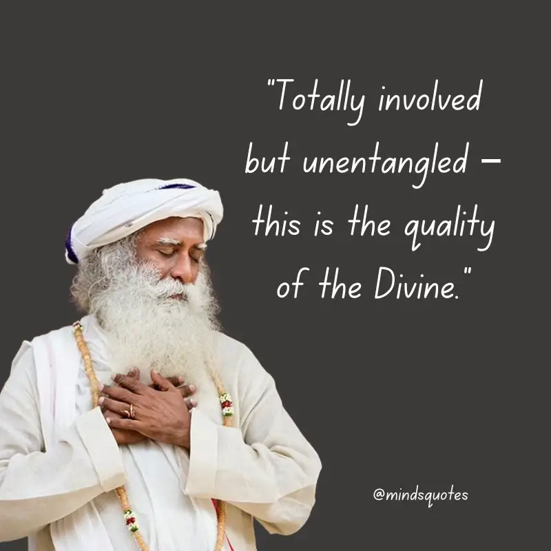 112 Sadhguru Quotes That Will Change The Way You Look At Life 11 sadhguru quotes