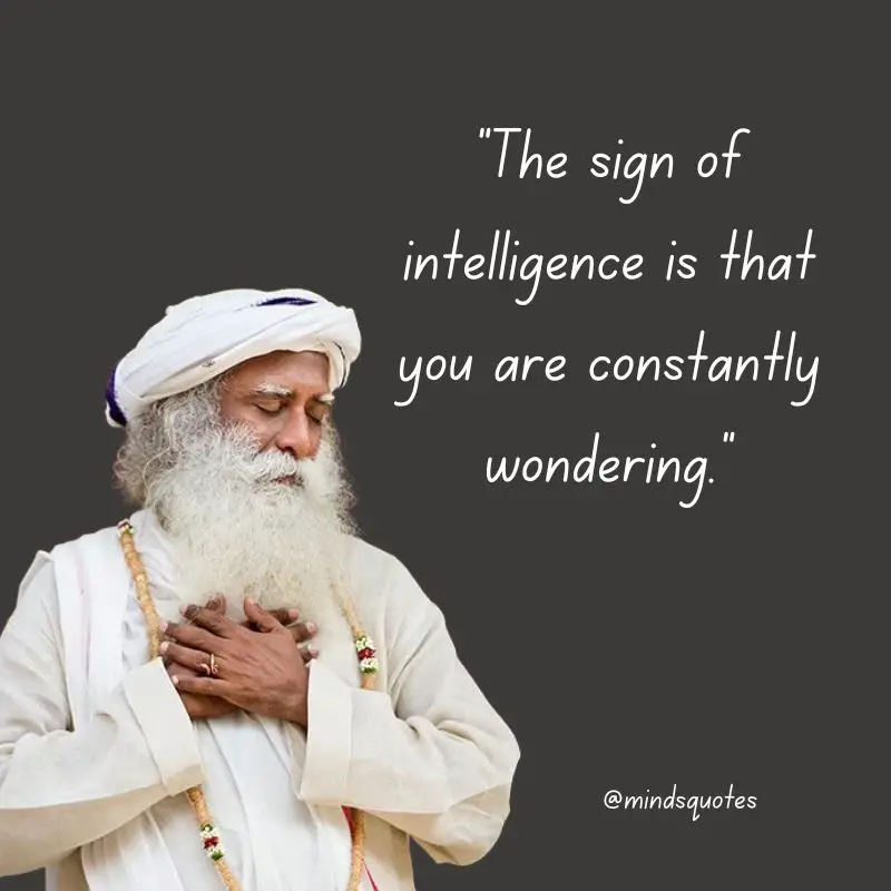 112 Sadhguru Quotes That Will Change The Way You Look At Life 12 sadhguru quotes