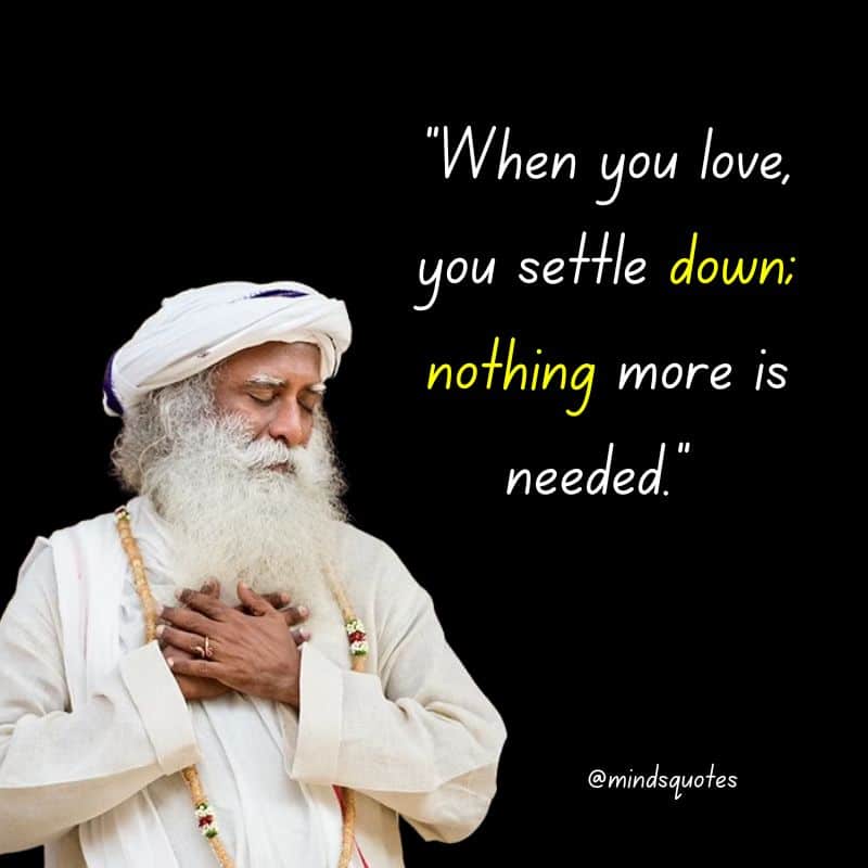 112 Sadhguru Quotes That Will Change The Way You Look At Life 26 sadhguru quotes love