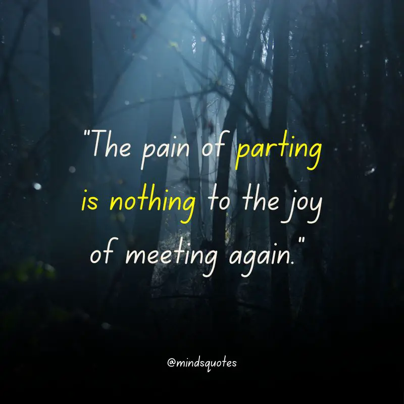 117+ BEST Farewell Quotes To Live By Before You Say Goodbye 4 short farewell quotes