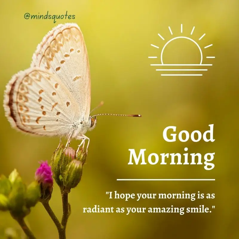 51 Beautiful Good Morning Love Quotes To Start Your Day 4 true love heart touching good morning love quotes
