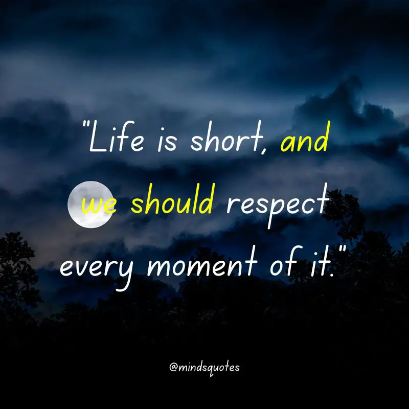 112+ BEST Respect Quotes That Everyone Needs To Know 20 true love relationship respect quotes