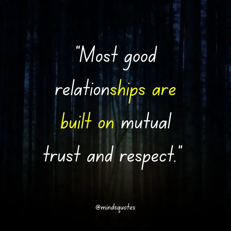 112+ BEST Respect Quotes That Everyone Needs To Know 22 trust and respect quotes