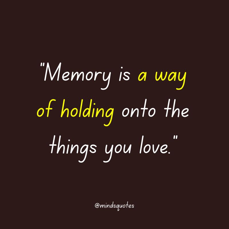 135 BEST Memories Quotes To Help You Cherish The Past 20 unforgettable memories quotes