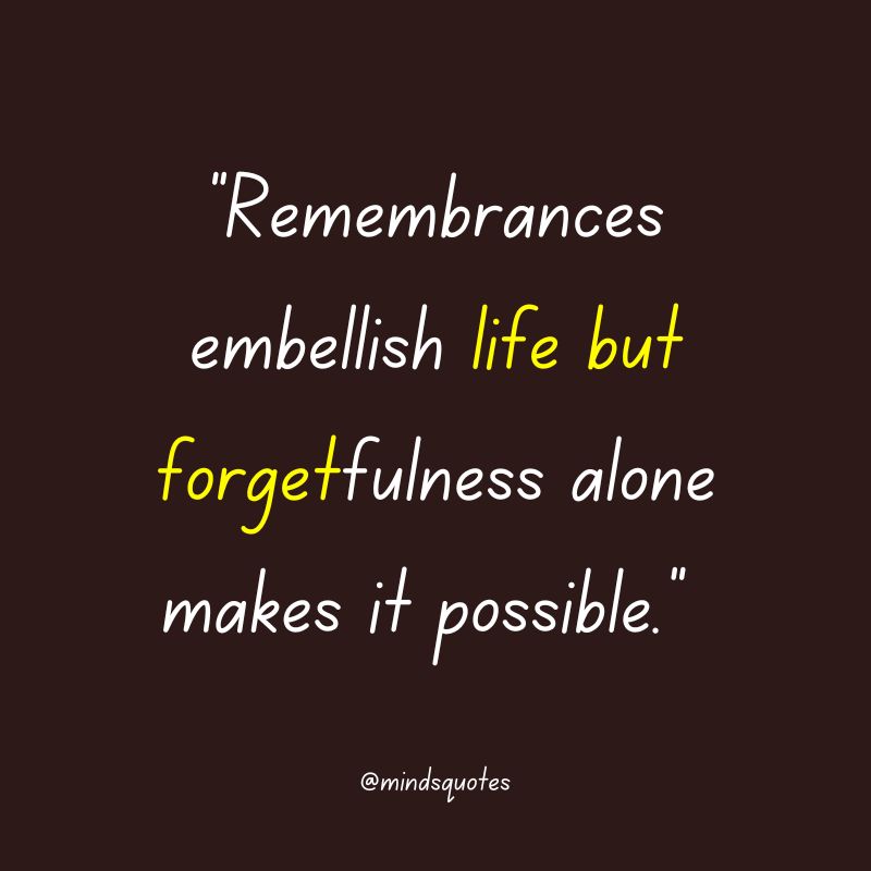 135 BEST Memories Quotes To Help You Cherish The Past 3 unforgettable memories quotes
