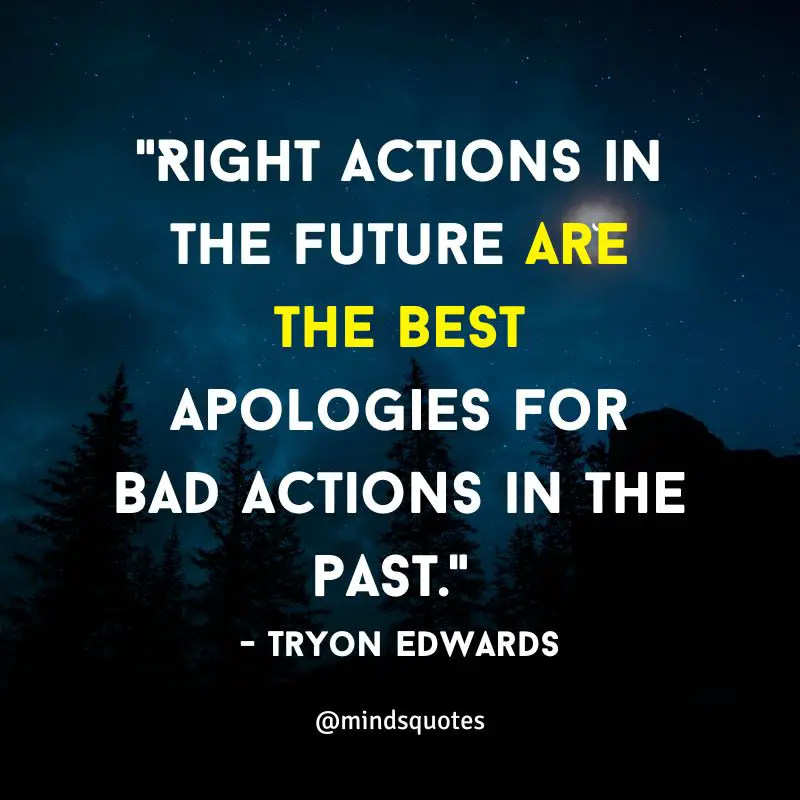 115+ BEST Apology Quotes That Will Inspire You To Say Sorry 11 Apology Quotes for Special Person