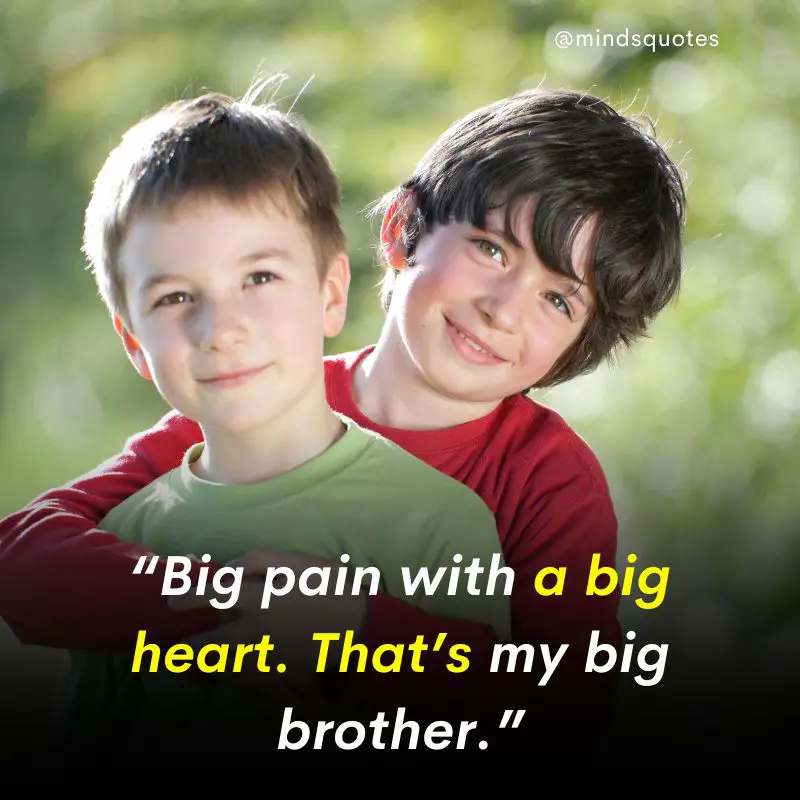 210 Best Brother Quotes A Bond Like No Other 31 Big Brother Quotes