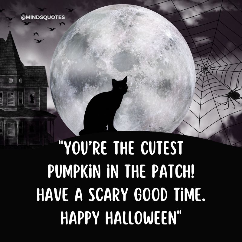Happy Halloween Quotes 1
