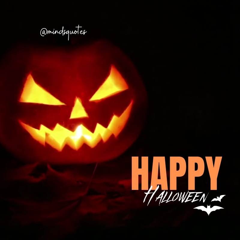 76 Most Captivating Halloween Quotes To Share This October 24 Happy Halloween