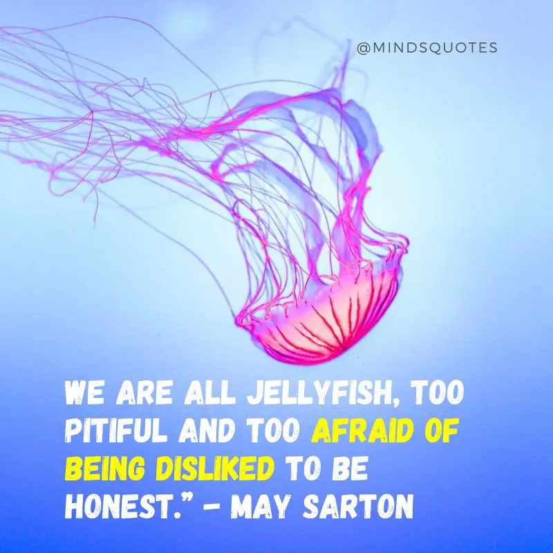 32 BEST World Jellyfish Day Quotes, Messages & Wishes 7 Happy World Jellyfish Day Message