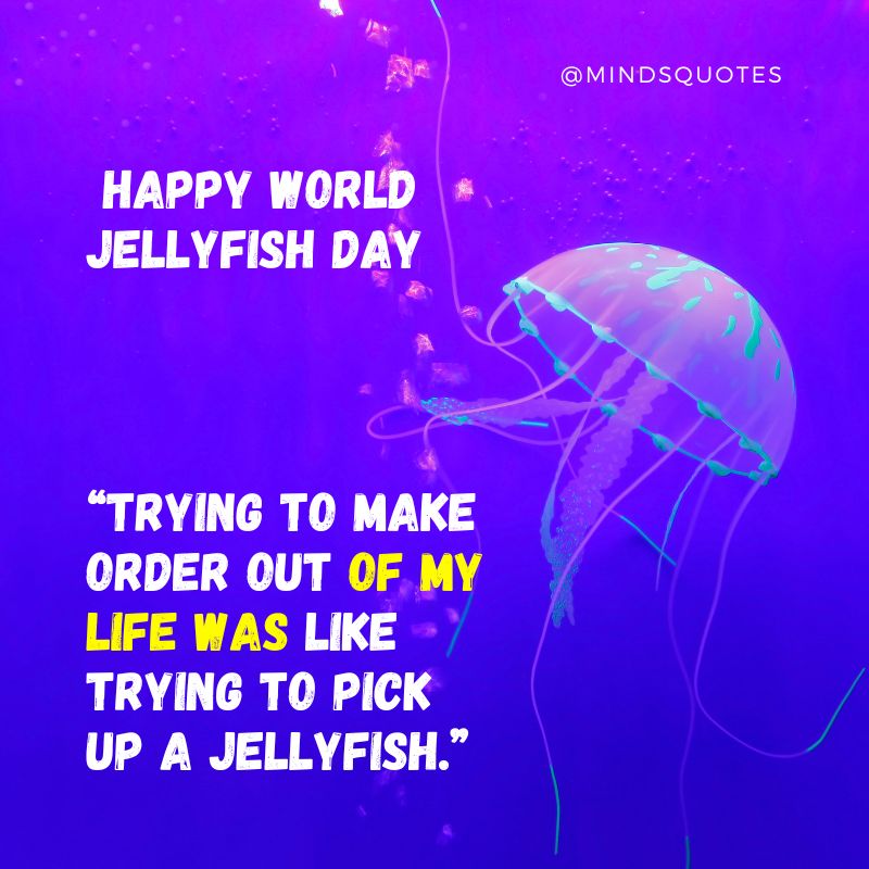 Happy World Jellyfish Day Wishes