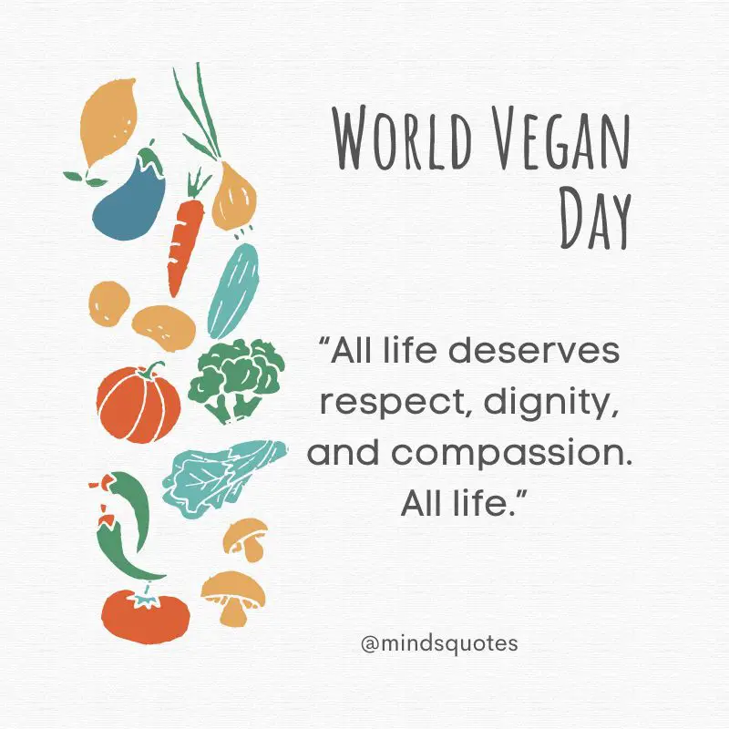 57 Famous World Vegan Day Quotes, Wishes & Messages 13 Happy World Vegan Day Messages 2022