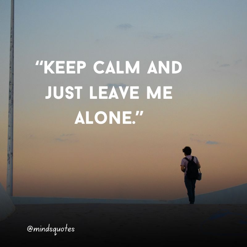 107 Famous Alone Quotes To Help You Feel Less Loneliness 18 Leave Me Alone Quotes