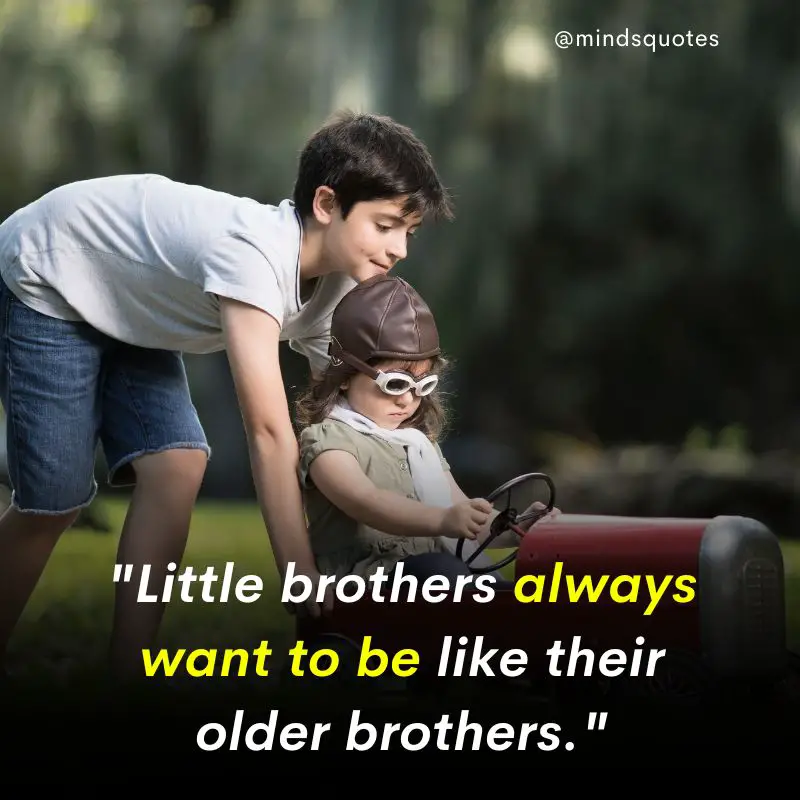 210 Best Brother Quotes A Bond Like No Other 32 Little Brother Quotes