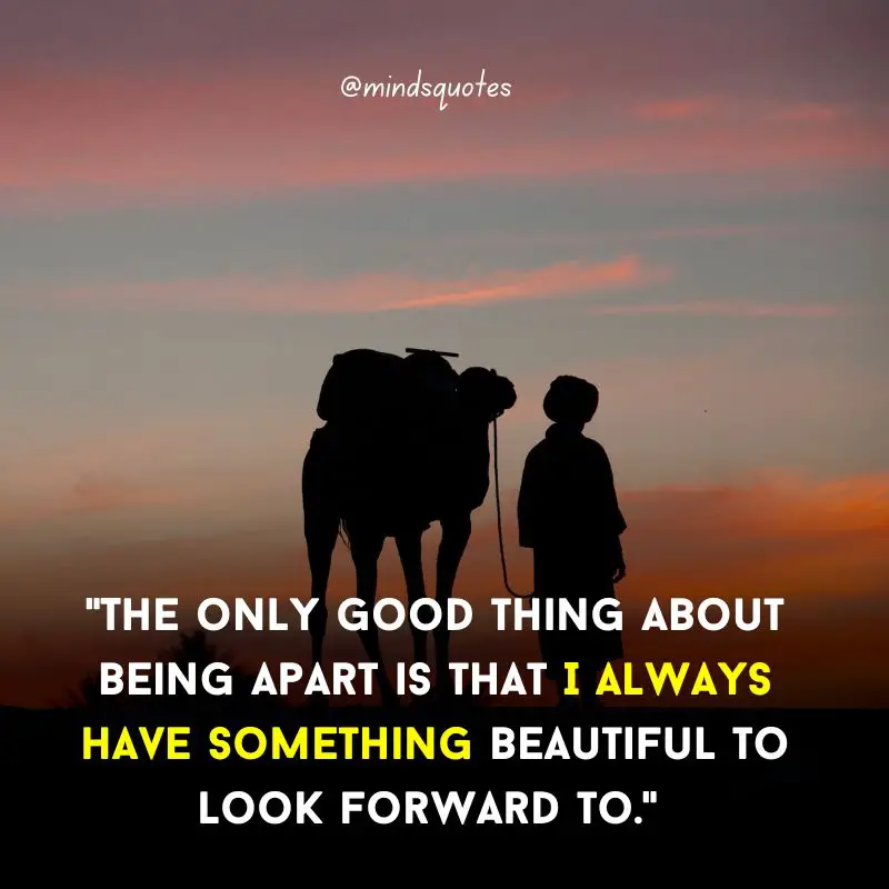 173 BEST Long Distance Relationship Quotes To Keep You Going 31 Long Distance Love Quotes