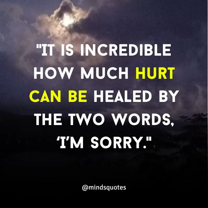 115+ BEST Apology Quotes That Will Inspire You To Say Sorry 7 love apology quotes