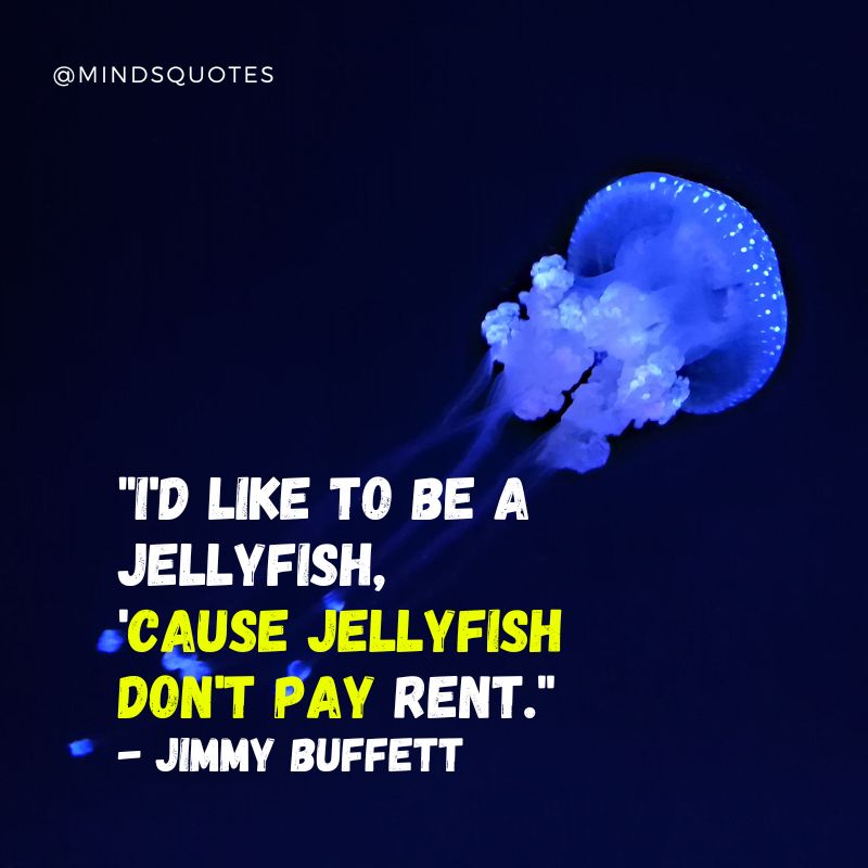 World Jellyfish Day Message 