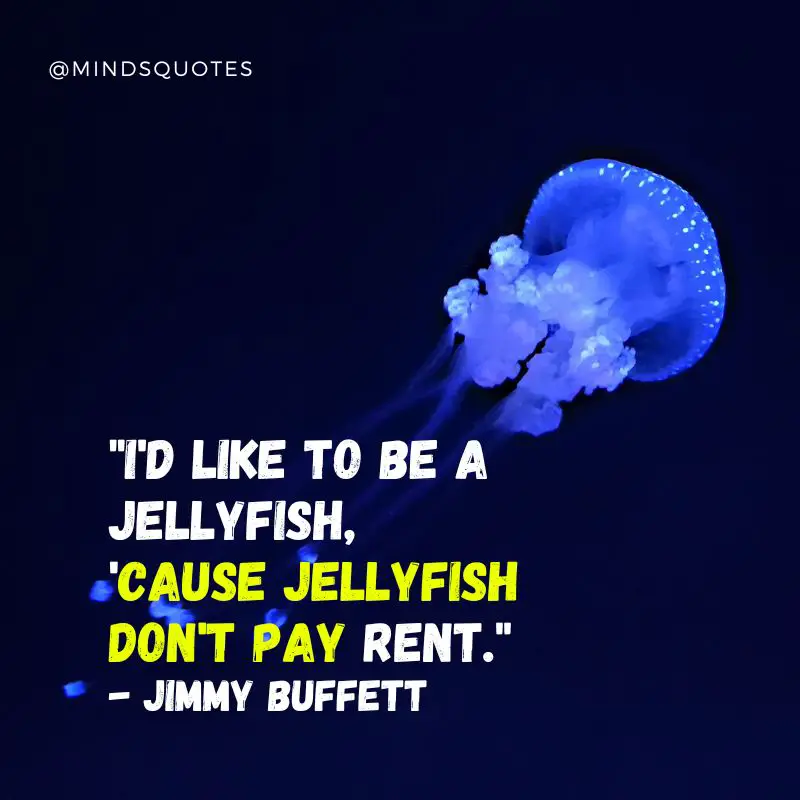 32 BEST World Jellyfish Day Quotes, Messages & Wishes 6 World Jellyfish Day Message