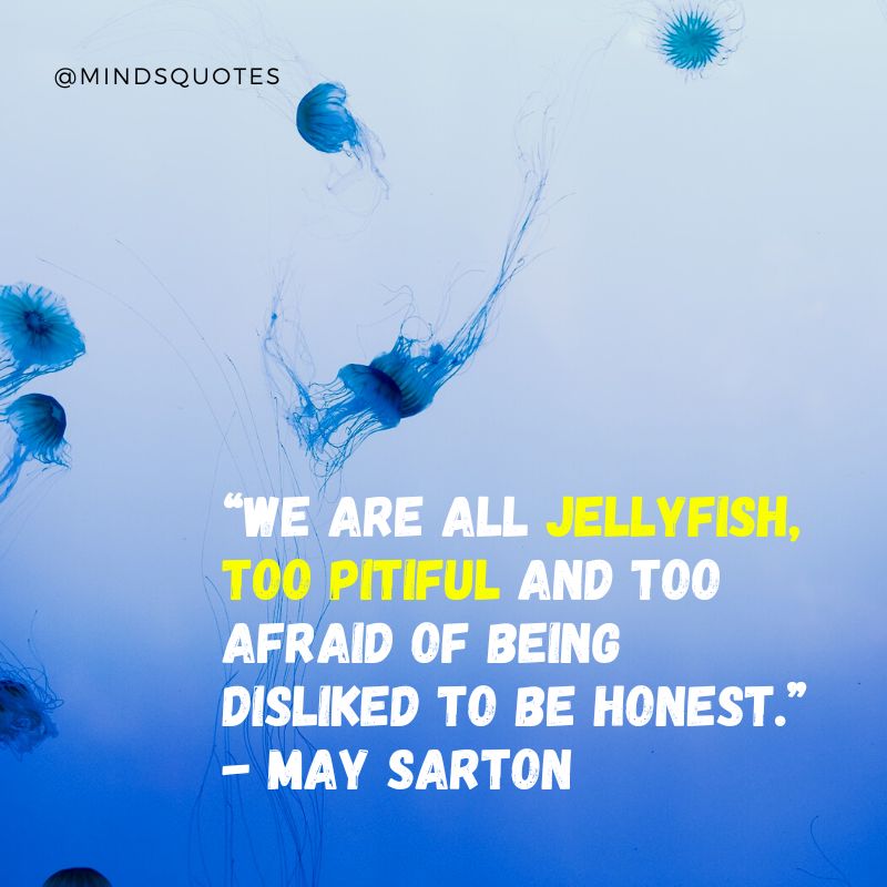 World Jellyfish Day Quotes