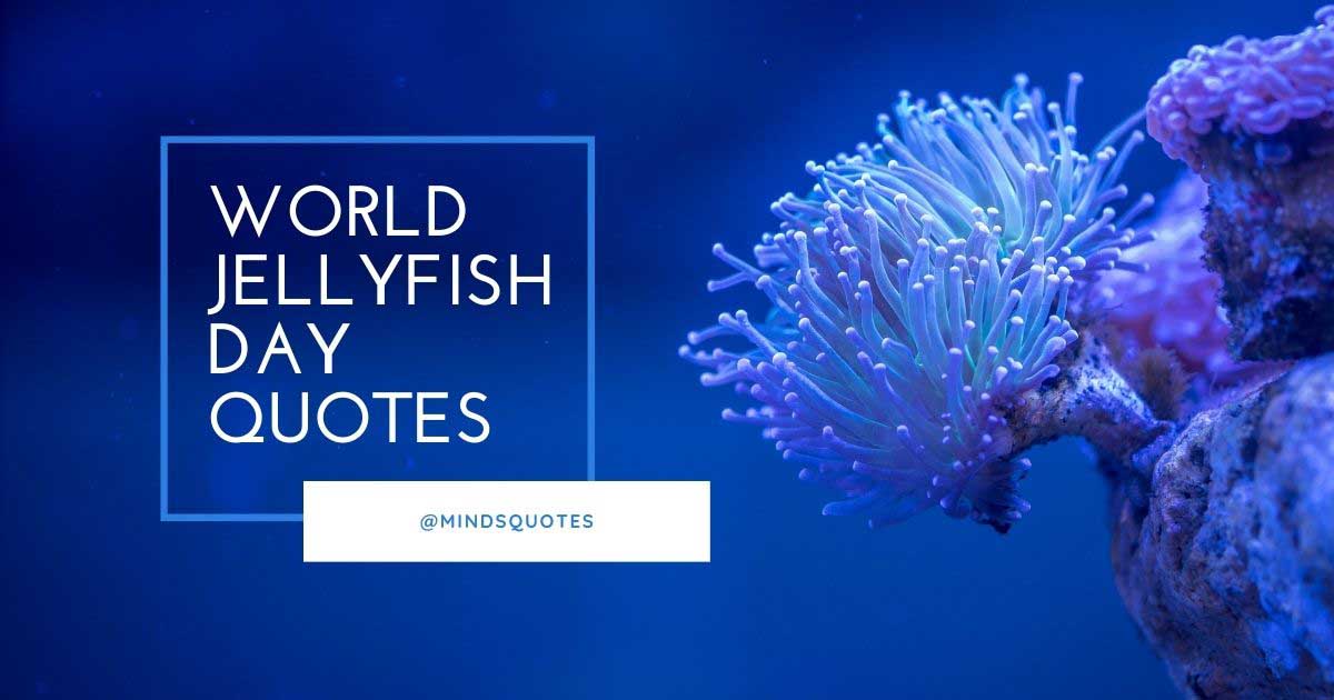 25 BEST World Jellyfish Day Quotes, Messages & Wishes